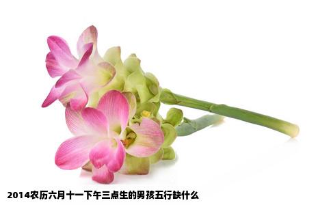 2014农历六月十一下午三点生的男孩五行缺什么