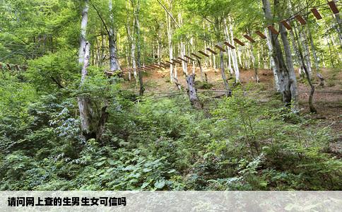 请问网上查的生男生女可信吗