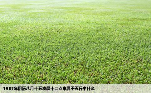 1987年阴历八月十五凌晨十二点半属于五行中什么