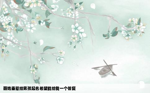 薛姓垂辈给男孩起名希望能给我一个答复