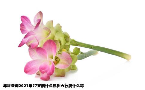 年龄查询2021年77岁属什么属相五行属什么命