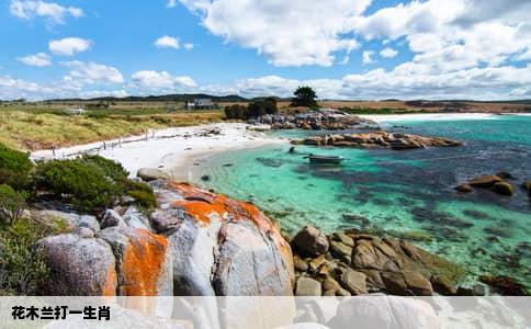 花木兰打一生肖