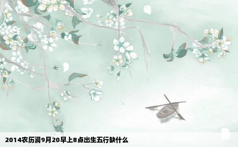 2014农历润9月20早上8点出生五行缺什么