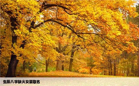 生辰八字缺火女婴取名