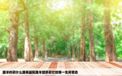 属羊的和什么属相最配属羊禁忌和它结婚一生劳苦命