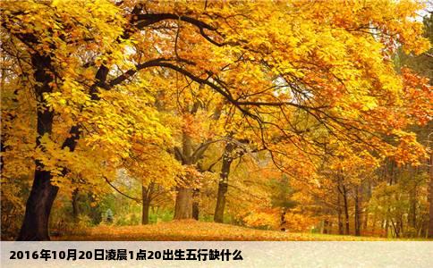 2016年10月20日凌晨1点20出生五行缺什么