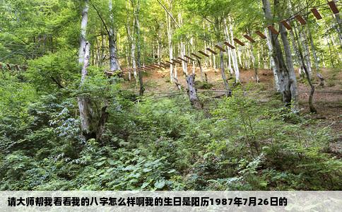请大师帮我看看我的八字怎么样啊我的生日是阳历1987年7月26日的