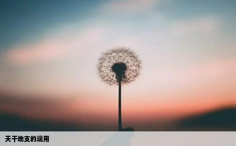 天干地支的运用