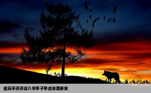 请高手评评这八字甲子甲戌辛酉庚寅