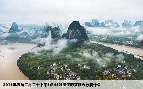 2015年农历二月二十下午3点45分出生的女孩五行属什么
