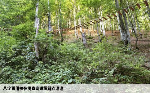 八字喜用神在线查询详细解点谢谢