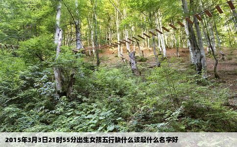 2015年3月3日21时55分出生女孩五行缺什么该起什么名字好