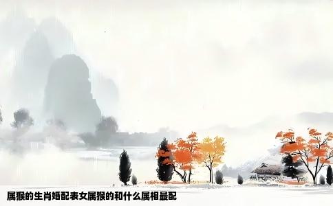 属猴的生肖婚配表女属猴的和什么属相最配