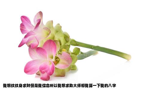 我想纹纹身求财但是我信命所以我想求助大师帮我算一下我的八字