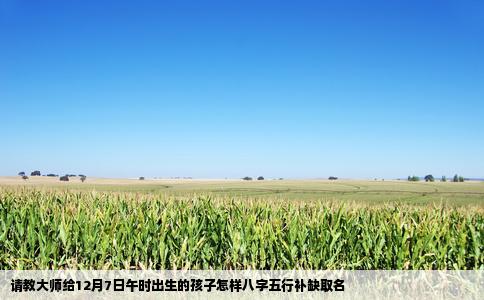 请教大师给12月7日午时出生的孩子怎样八字五行补缺取名