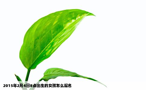 2015年2月4日8点出生的女孩怎么起名