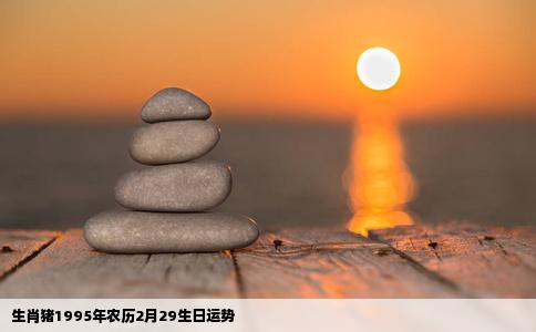 生肖猪1995年农历2月29生日运势