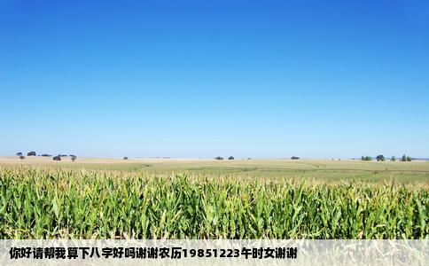 你好请帮我算下八字好吗谢谢农历19851223午时女谢谢