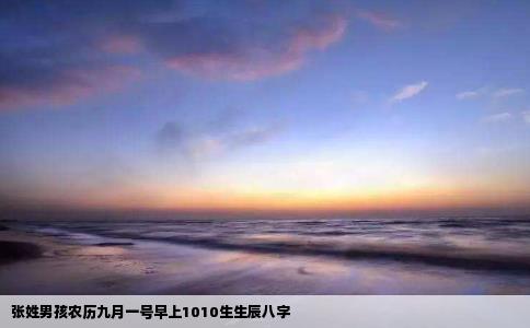 张姓男孩农历九月一号早上1010生生辰八字