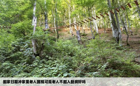 搬家日期冲家里老人属相可是老人不搬入新房好吗