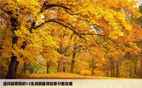 请问圆明园的12生肖铜像现在都分散在哪