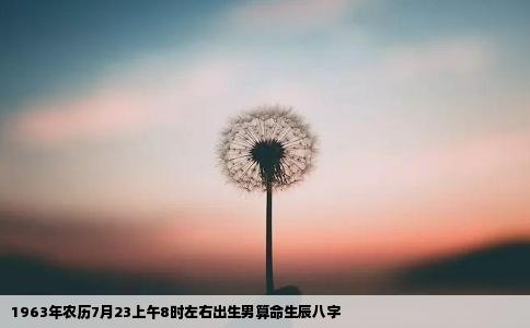 1963年农历7月23上午8时左右出生男算命生辰八字