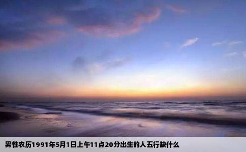 男性农历1991年5月1日上午11点20分出生的人五行缺什么