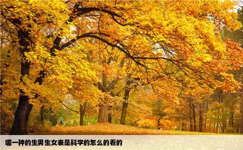 哪一种的生男生女表是科学的怎么的看的