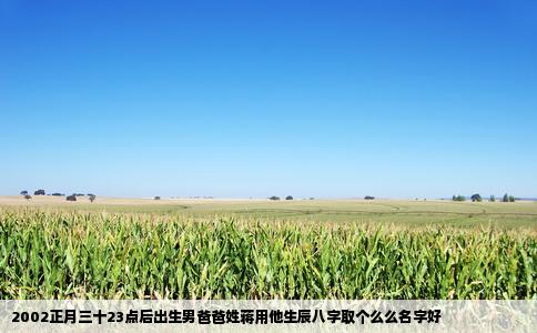 2002正月三十23点后出生男爸爸姓蒋用他生辰八字取个么么名字好