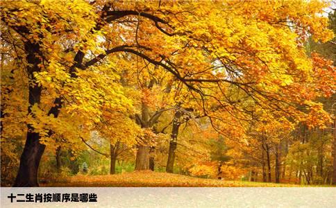 十二生肖按顺序是哪些