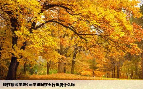 映在康熙字典9画字里吗在五行里属什么吗