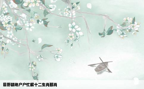 田野耕地户户忙解十二生肖那肖