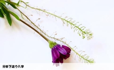 分析下这个八字