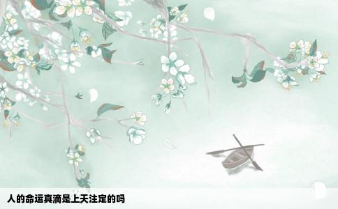 人的命运真滴是上天注定的吗