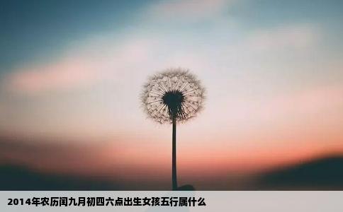 2014年农历闰九月初四六点出生女孩五行属什么