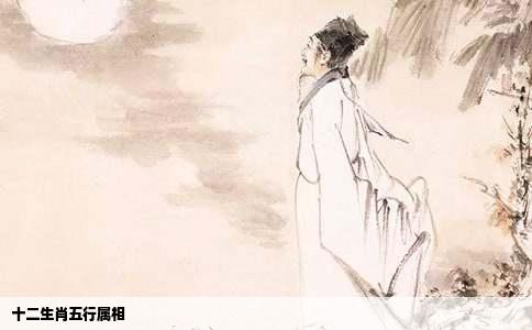 十二生肖五行属相