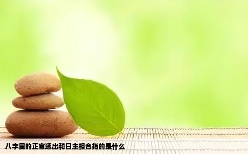 八字里的正官透出和日主相合指的是什么