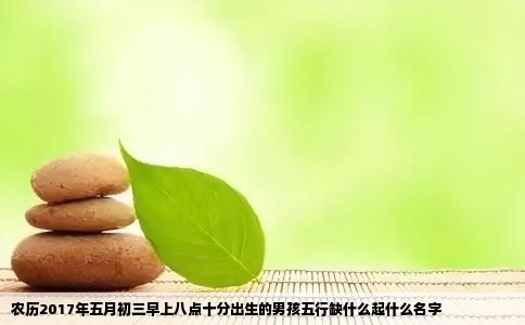 农历2017年五月初三早上八点十分出生的男孩五行缺什么起什么名字