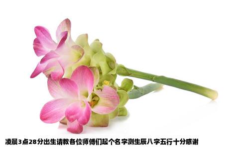 凌晨3点28分出生请教各位师傅们起个名字测生辰八字五行十分感谢