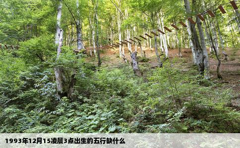 1993年12月15凌晨3点出生的五行缺什么