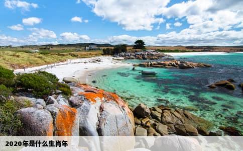 2020年是什么生肖年