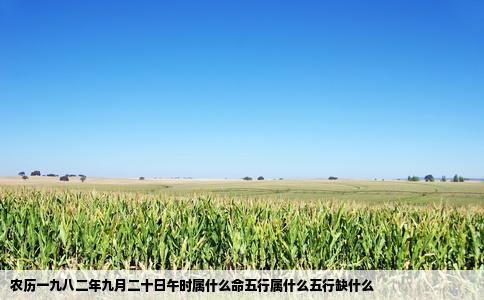 农历一九八二年九月二十日午时属什么命五行属什么五行缺什么