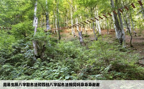 周易生辰八字取名法和四柱八字起名法相同吗急急急谢谢