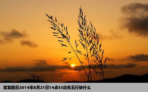 宝宝新历2014年8月21日14点53出生五行缺什么