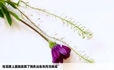 在百度上算命透露了姓名出生年月日地址