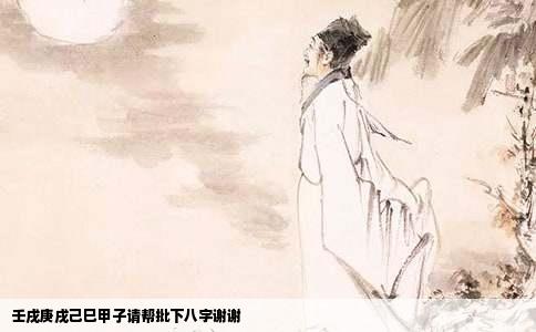 壬戌庚戌己巳甲子请帮批下八字谢谢