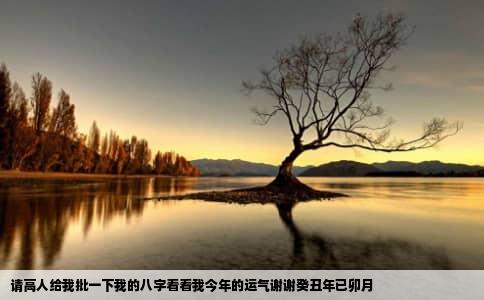 请高人给我批一下我的八字看看我今年的运气谢谢癸丑年已卯月