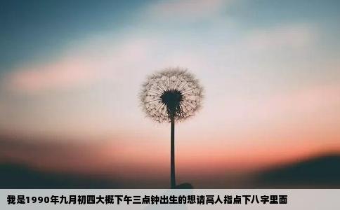 我是1990年九月初四大概下午三点钟出生的想请高人指点下八字里面