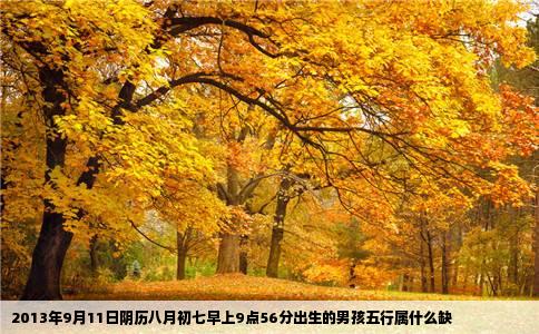 2013年9月11日阴历八月初七早上9点56分出生的男孩五行属什么缺