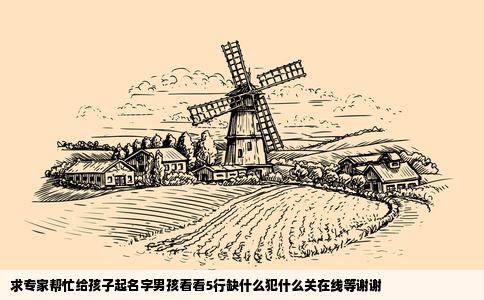 求专家帮忙给孩子起名字男孩看看5行缺什么犯什么关在线等谢谢